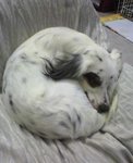 vivi_20060101_1.jpg