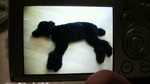 20100813_VO[tB[.jpg