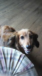 20100825_c̃[.jpg