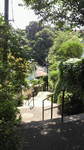 20100825_q̎R02.jpg