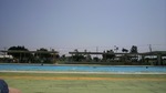 20100825_qClv[.jpg