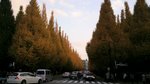 20101127__{O傤Ղ01.jpg