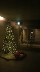 20101130_LFC~l[V02.jpg