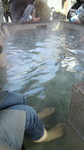 20110220_.jpg
