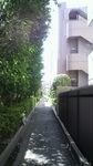 20110326_ߏ̏.jpg